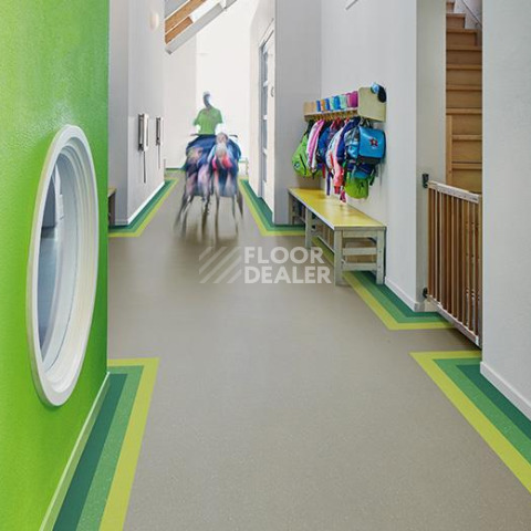Forbo Marmoleum Decibel on Order 364935 greenwood фото 2 | FLOORDEALER